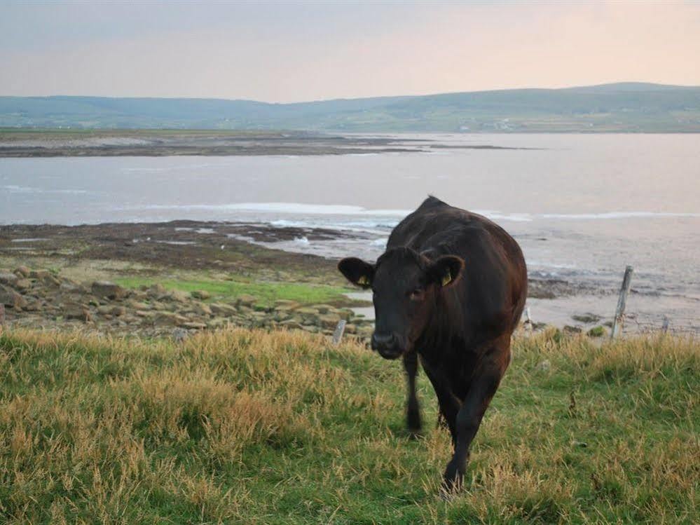 Creevagh Heights B&B Killala Eksteriør billede